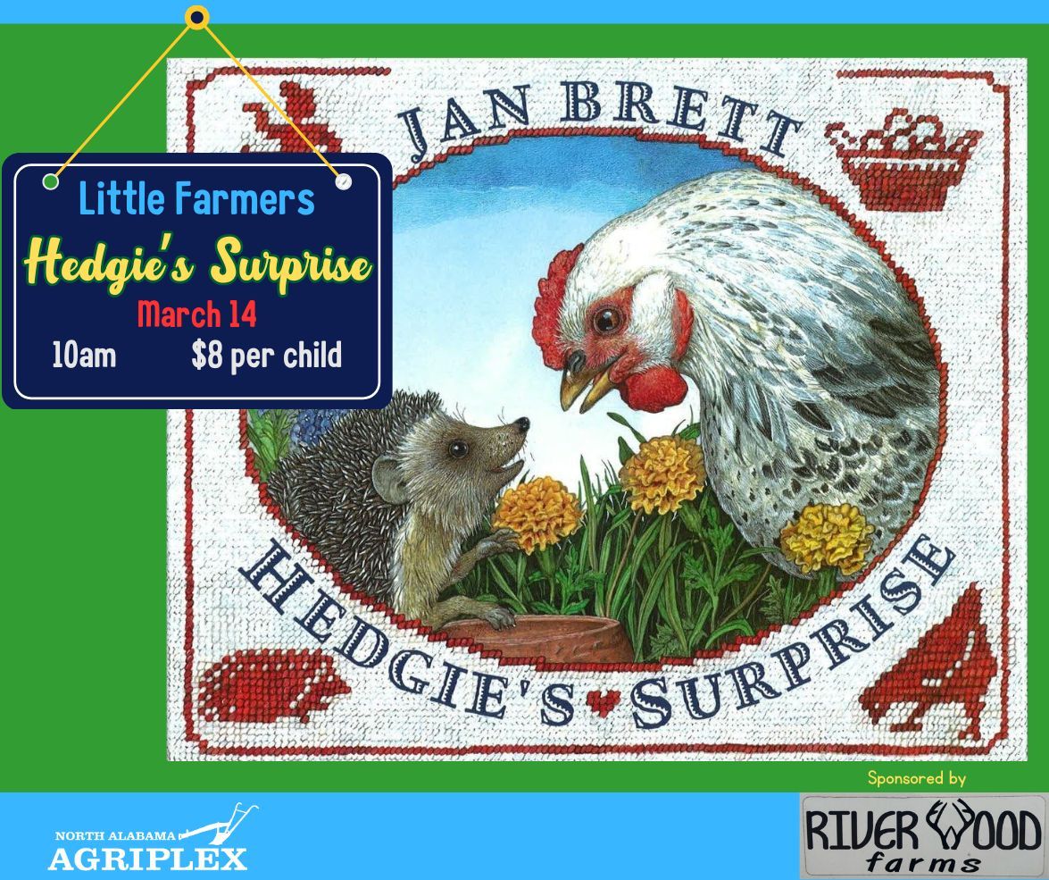 Little Farmers: Hedgie's Surprise