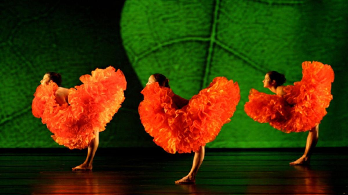 Parking MOMIX: Bontanica