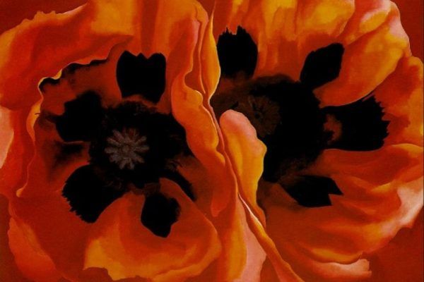 Make Your Mark Workshop: Georgia O'Keeffe's Oriental Poppies