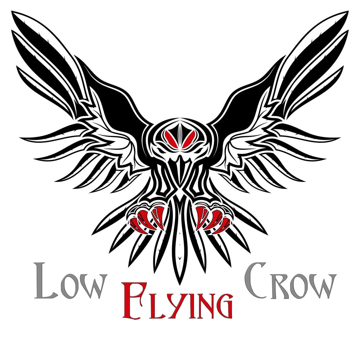 Low flying crow - live @ The Avenue, Hull 