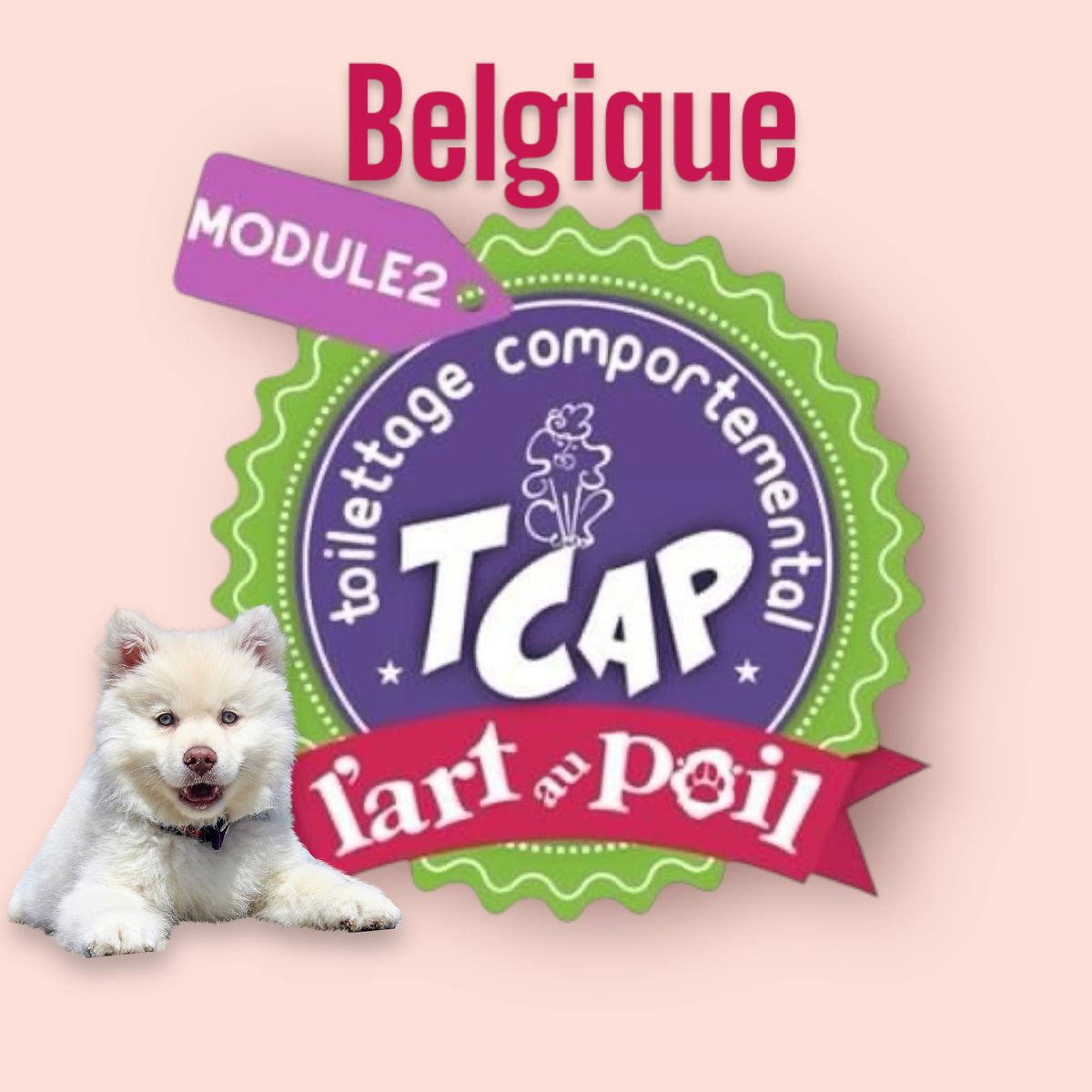 TCAP Module 2 pratique Belgique