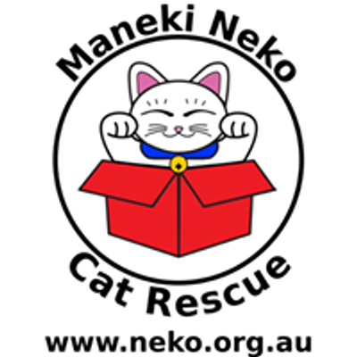 Maneki Neko Cat Rescue