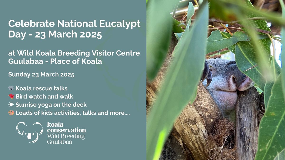 Celebrate National Eucalypt Day at the Wild Koala Breeding Visitor Centre