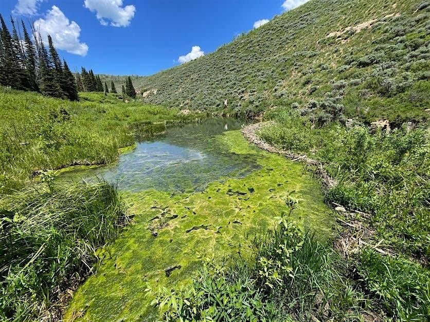 Day Trip: Low Pass Creek II (Ride with Zoo)