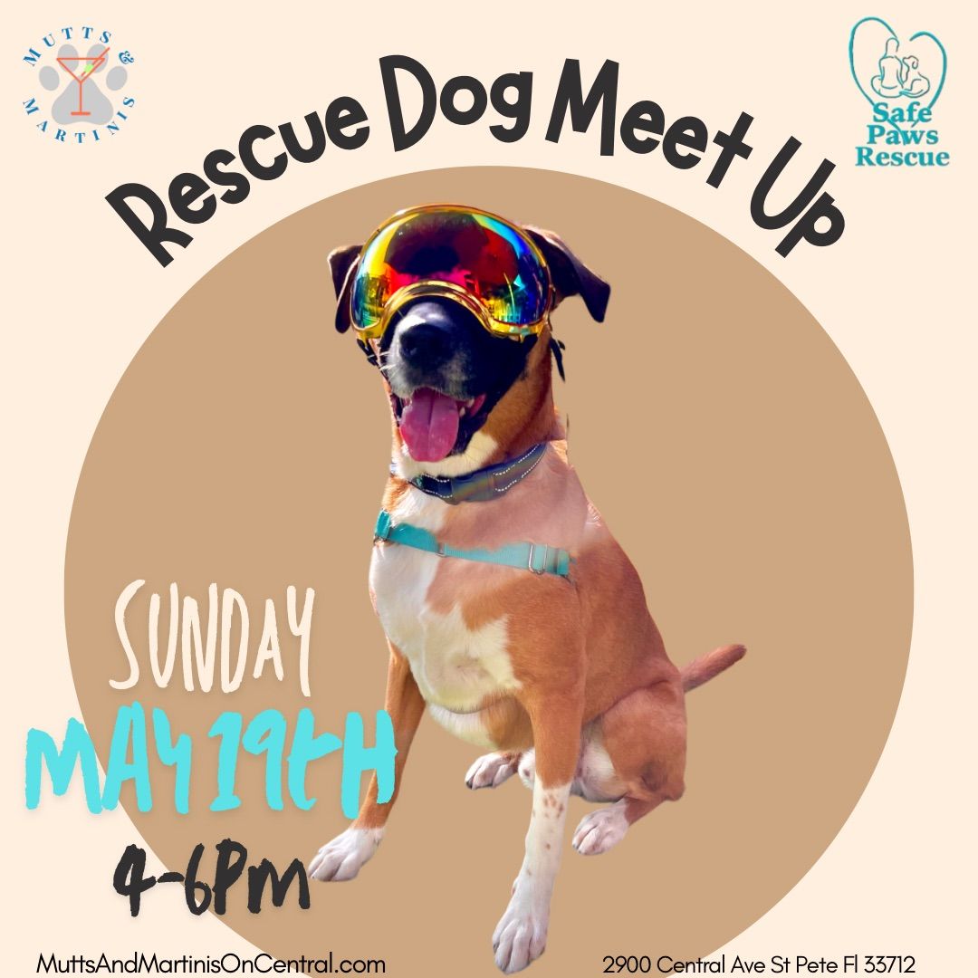 RESCUE DOG Meet Up