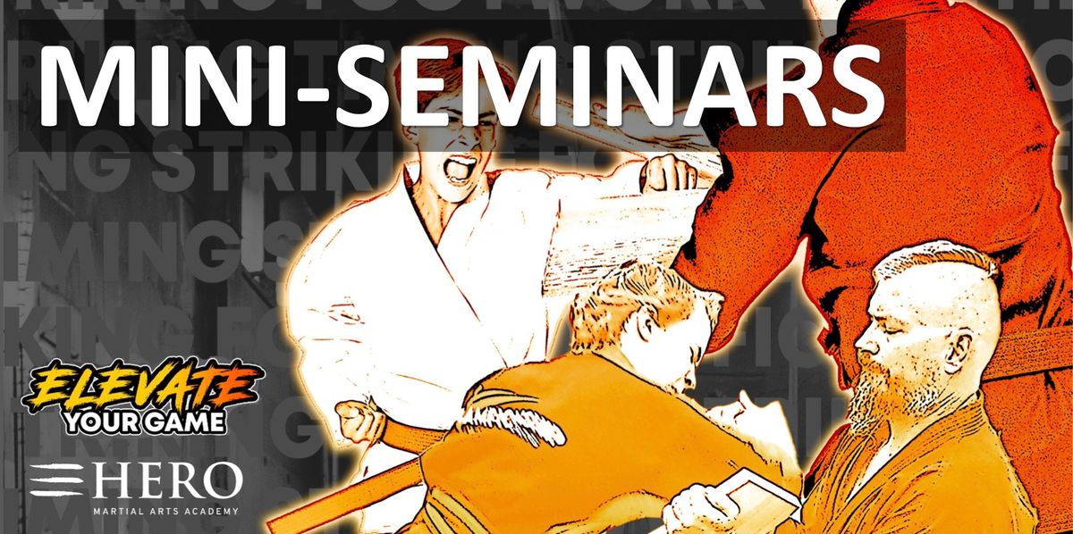 Summer Mini-Seminars 2024