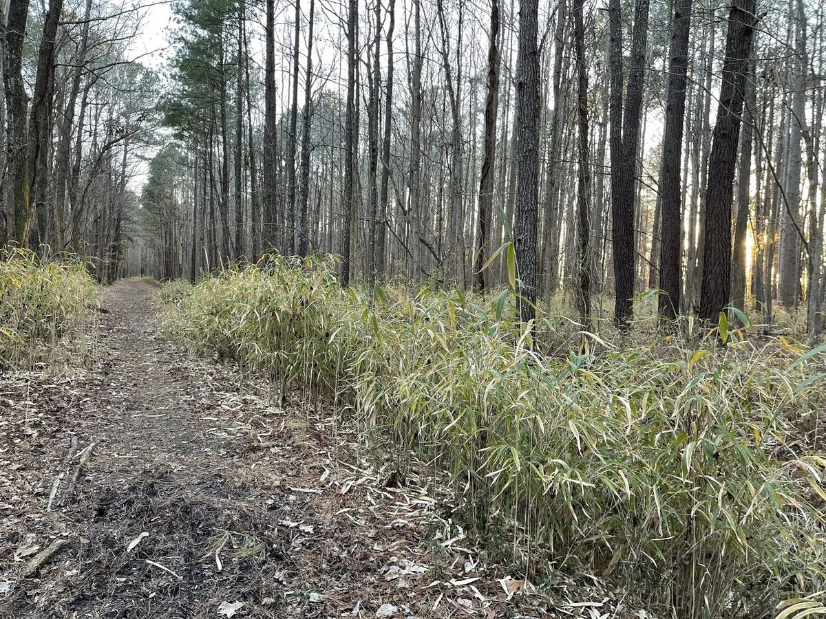 Buffington Trail and Whitehurst Trail Loop