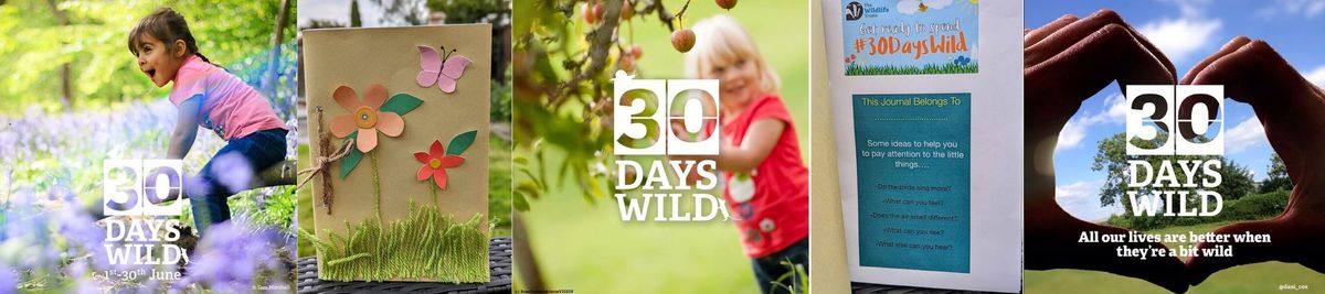 Drop In 30 Days Wild journals