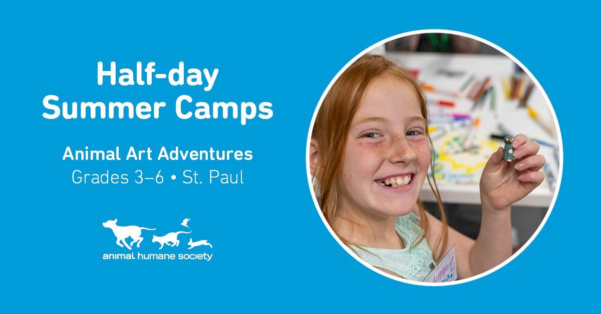 Half-day Summer Camps: Animal Art Adventures