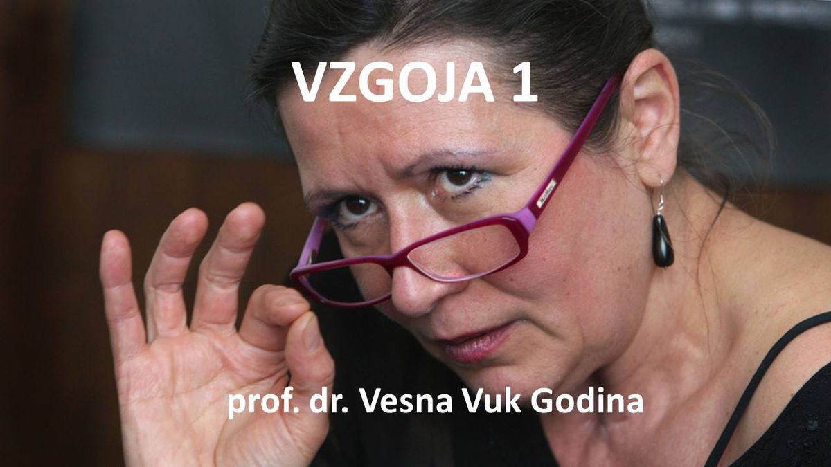 Predavanje Vesne Godina: Vzgoja, dru\u017eba, avtoriteta