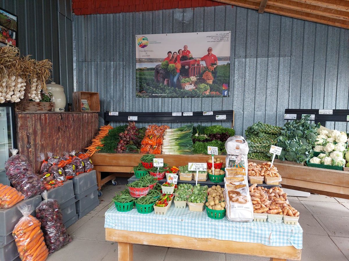 Activit\u00e9 \u00e0 la ferme MARCOUX - Vente l\u00e9gumes gros FORMAT BIO