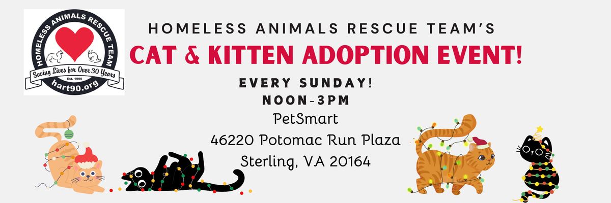 Cat & Kitten Adoption Event!