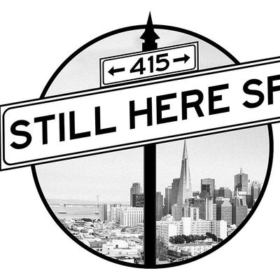 Still Here SF 415