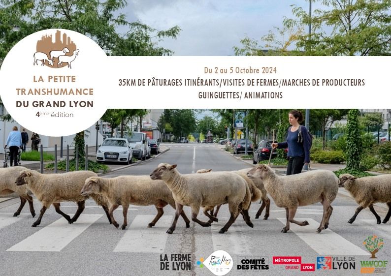 La petite transhumance du Grand Lyon 2024