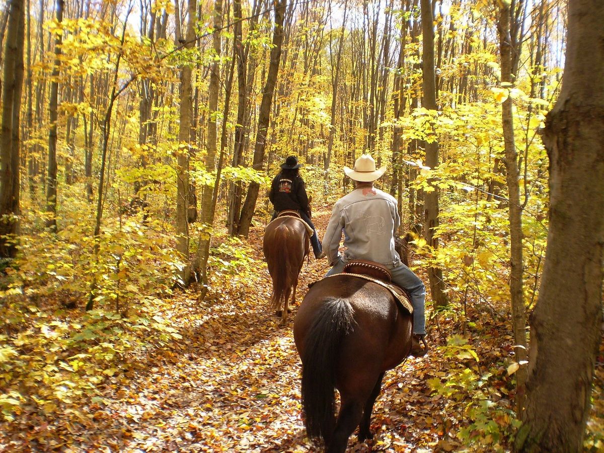 \ud83d\udc34 Horseback Trail Ride in the Smokies Getaway Package! \ud83c\udf04 $149 Per Couple