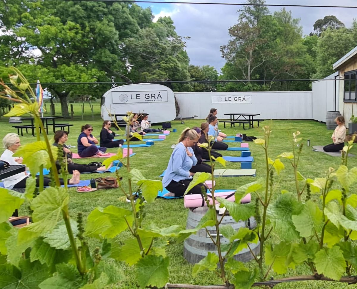 Yoga in the Vines!