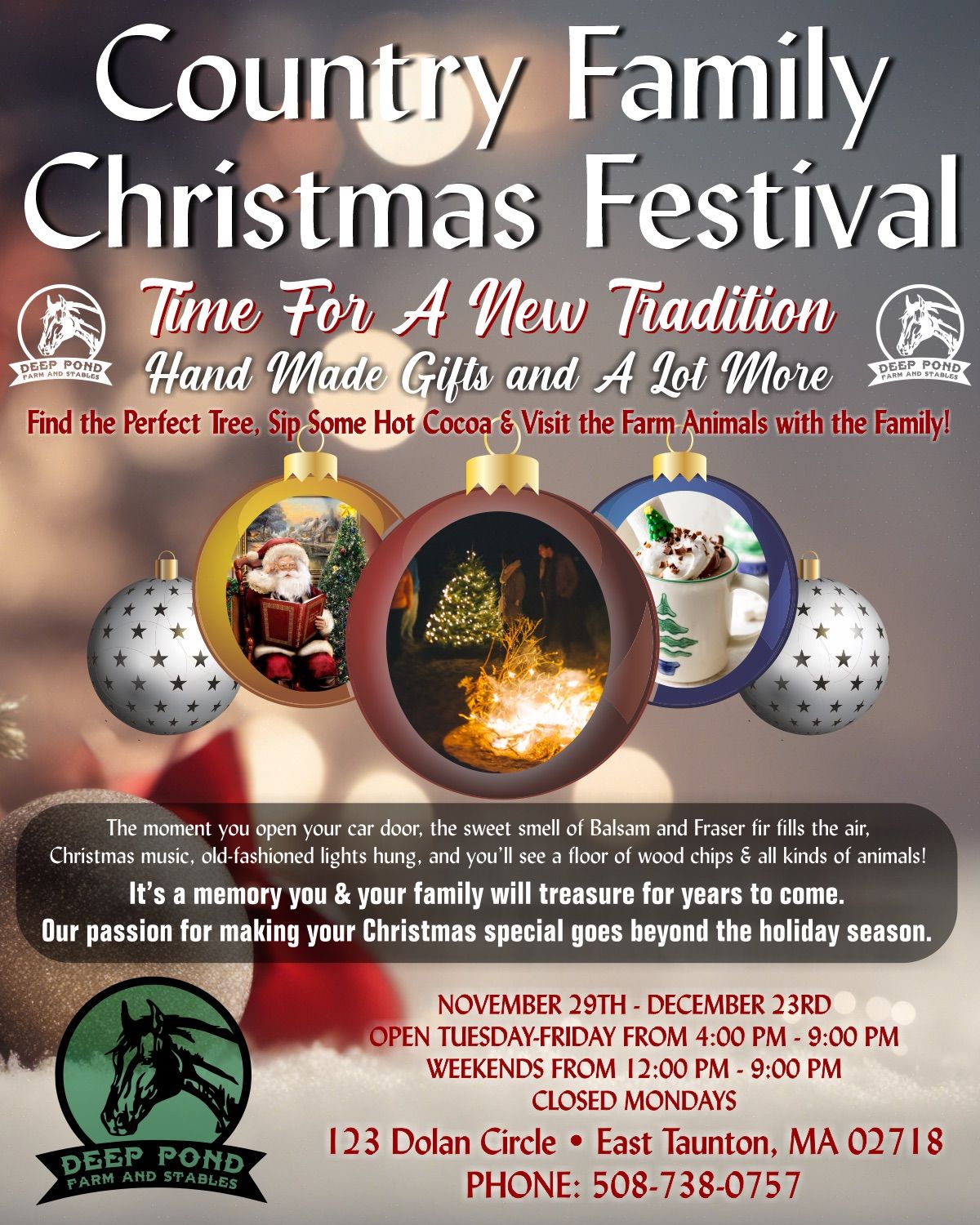 Family Country Christmas Festival