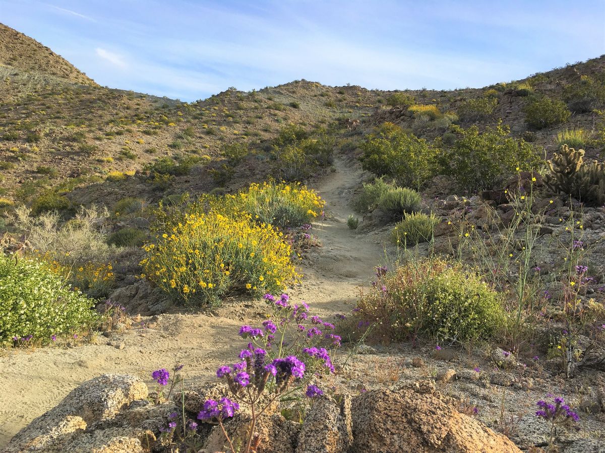 Randall Henderson Interpretative Hike \u2013 Full Trail