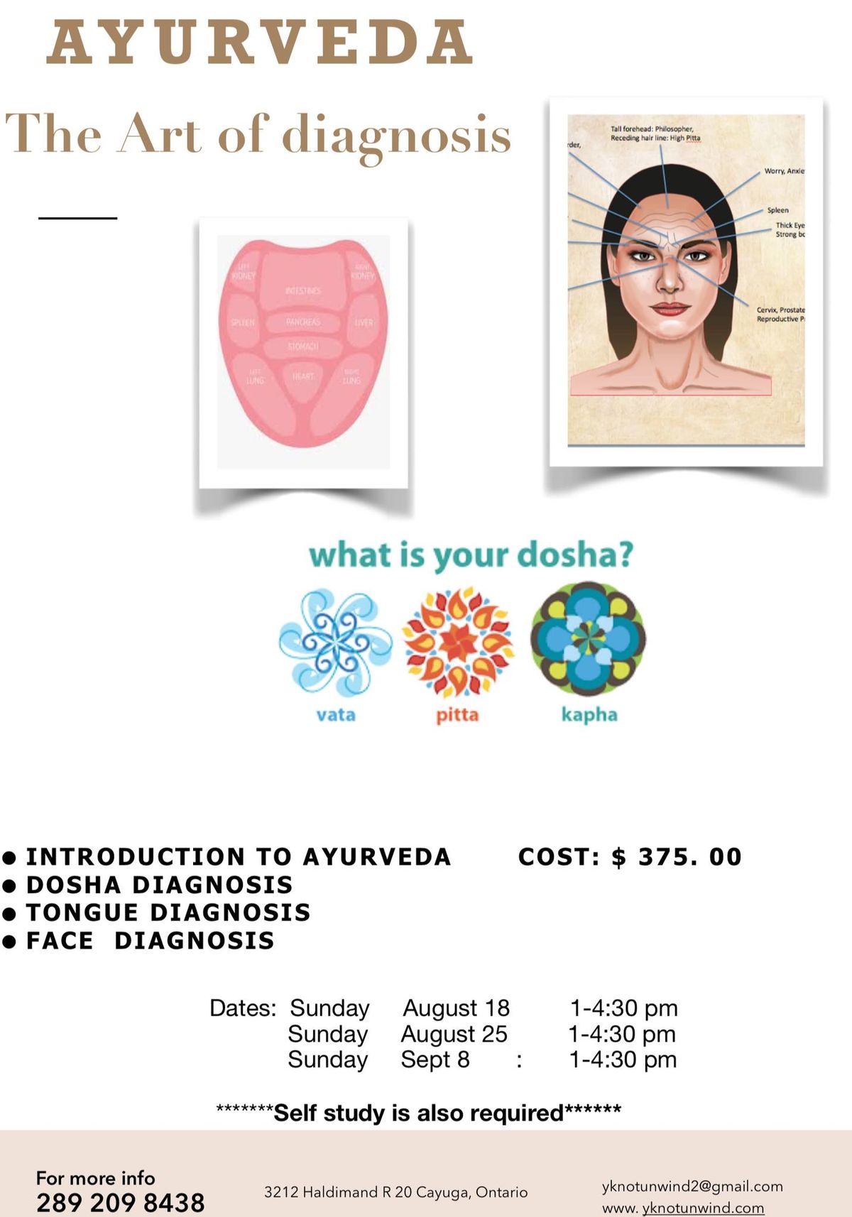 Ayurveda and the Art of Diagnosis Workshop