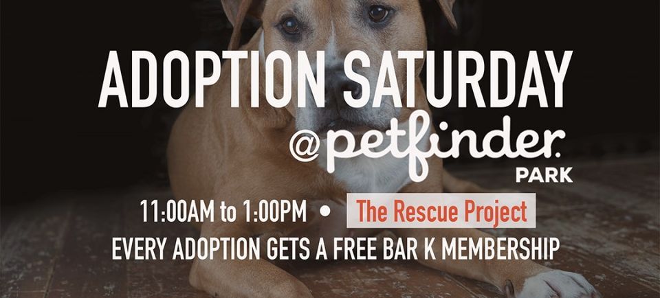 Bar K Adoption Saturday