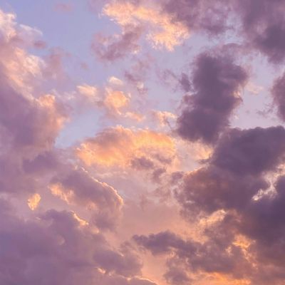 La Rosa Blanca & Awesome Hugs