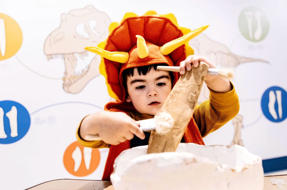 PlayLab PlayDate: National Fossil Day Storytime & Craft