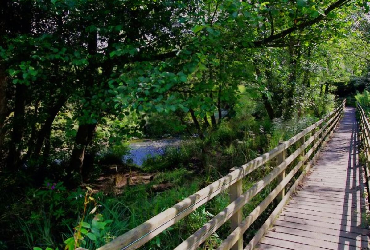 Festive Walk at Alyn Waters Country Park(Llay)