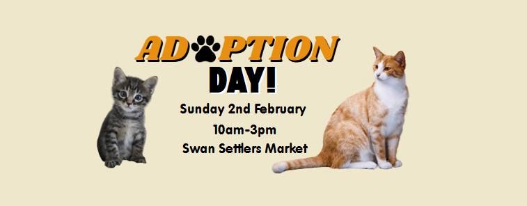 Adoption Day in the Swan Valley!