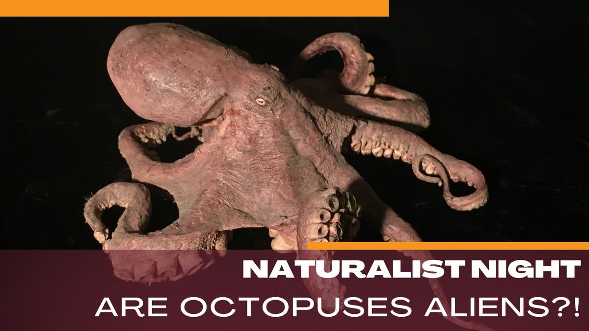 Naturalist Night: Are Octopuses Aliens?!