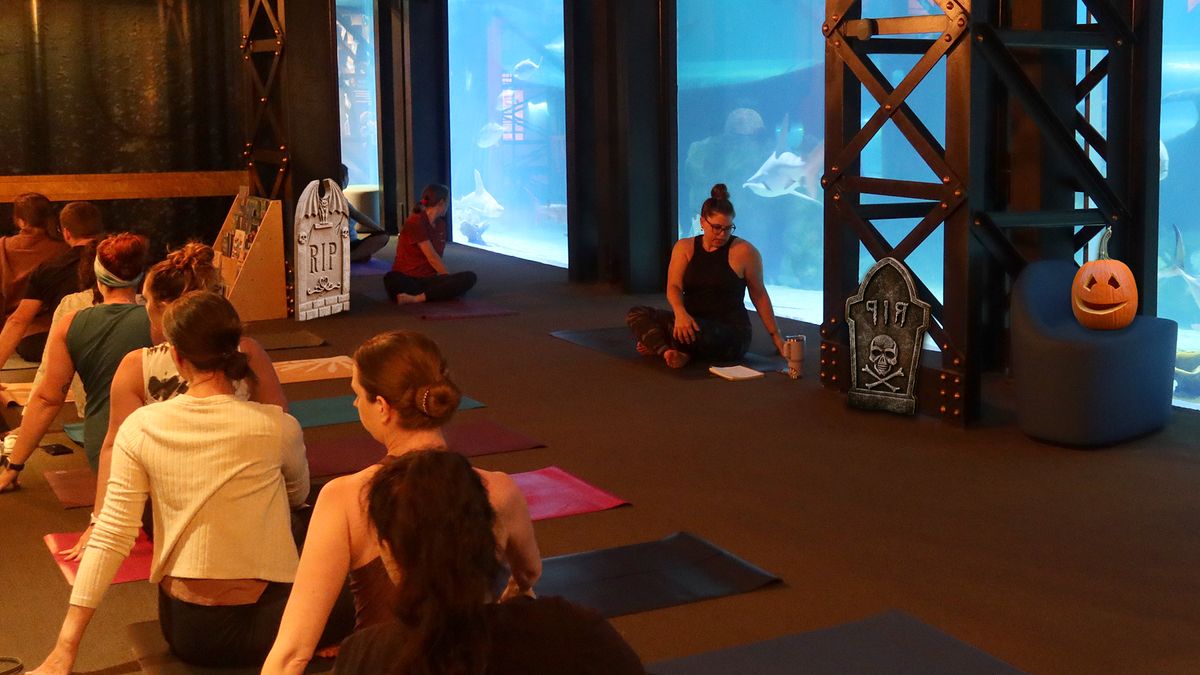 Haunted Harbor Yoga @CLEAquarium