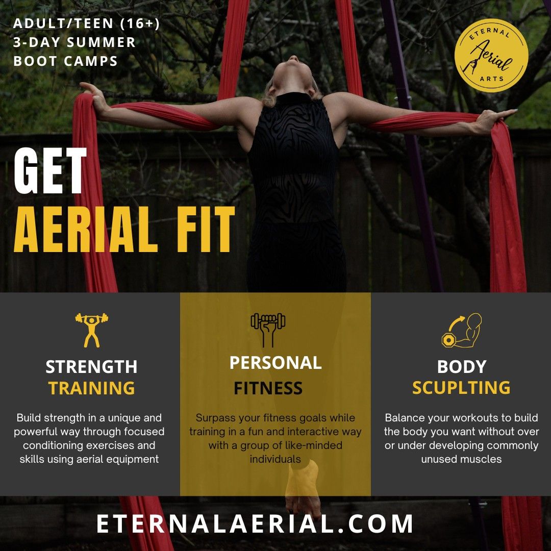 Aerial Boot Camp - Get Aerial Fit! - Adults\/Teens (16+)