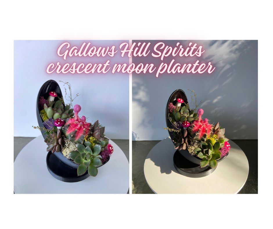 Gallows Hill Crescent Moon Planter workshop