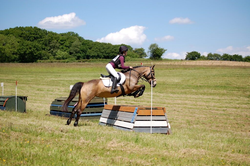 Eggesford Pony Club Tetrathlon & Triathlon