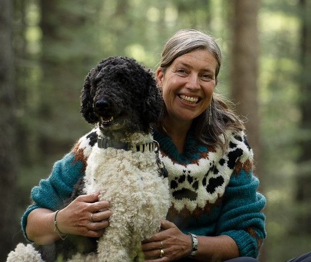 Hoe herken je pijn en verstoringen bij je hond?