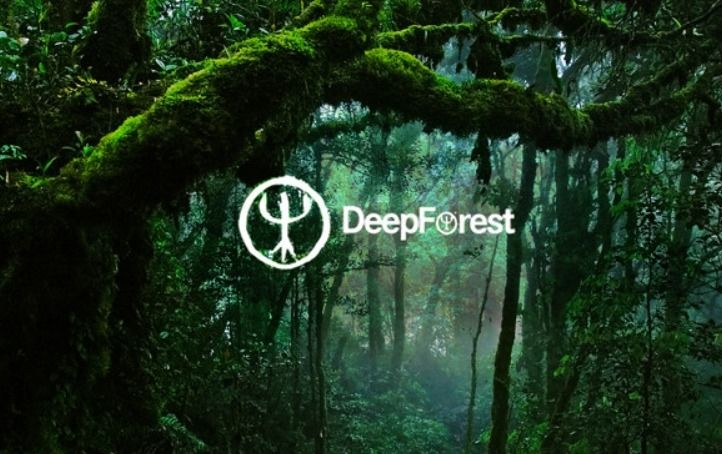 Deep forest | Bielsko-Bia\u0142a