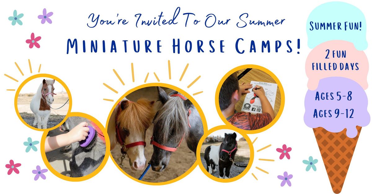 Miniature Horse Camps