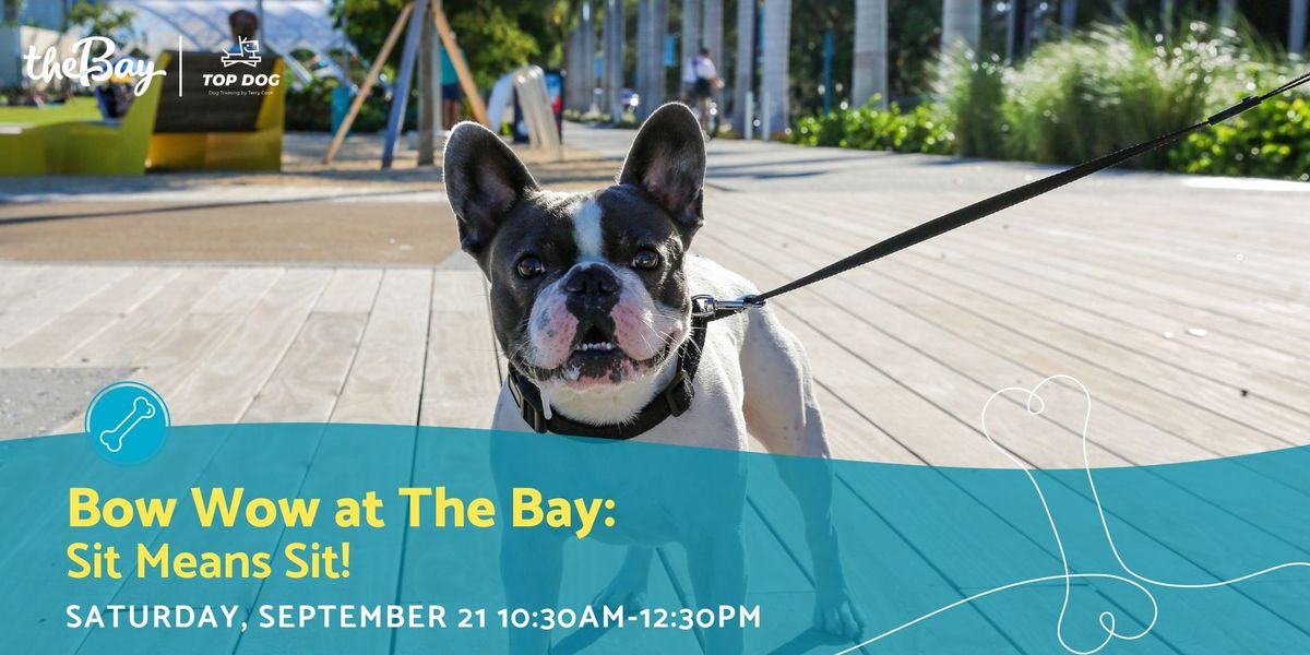 Bow Wow at The Bay: Sit Means Sit!