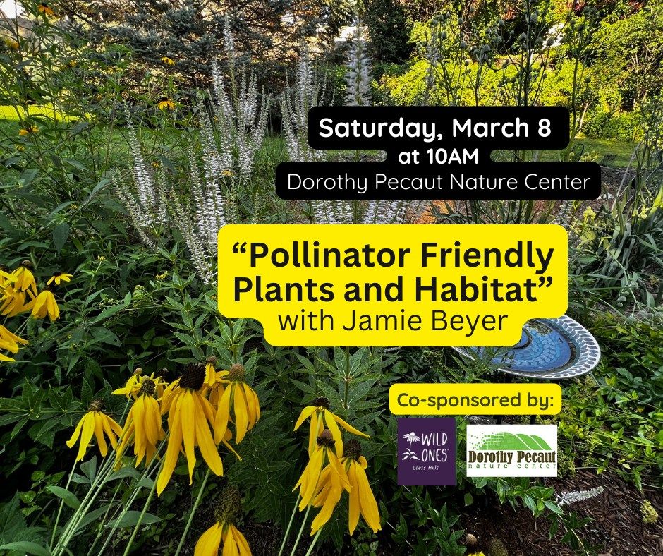 Pollinator Friendly Plants and Habitat by Jamie Beyer