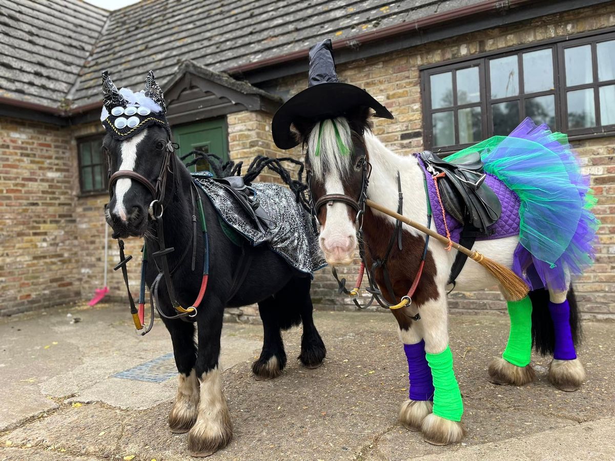 Halloween Pony Rides