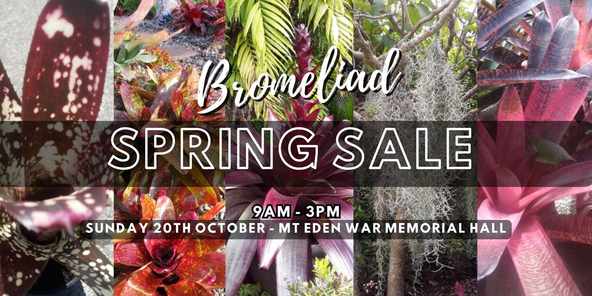 Bromeliad Spring Sale 2024