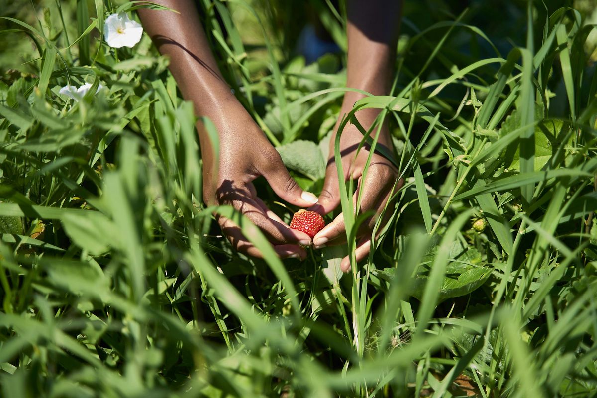 Summer Grower Workshop