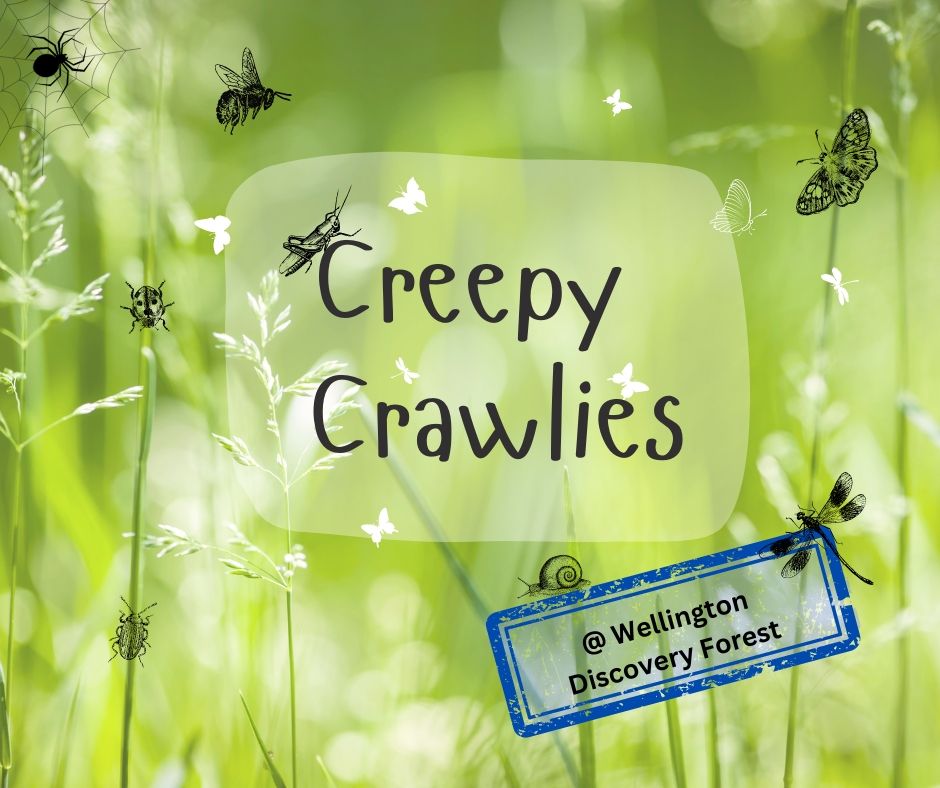 Creepy Crawlies @ WDF