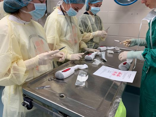 Advanced Vet Camp (Rising 12th Grade)