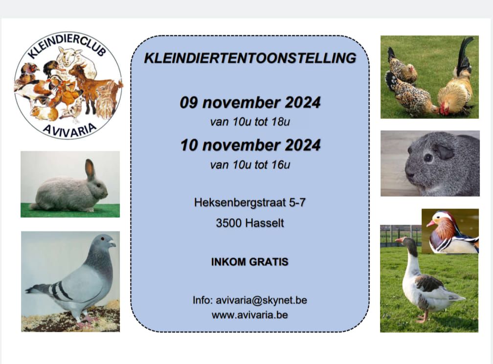 tentoonstelling kleindierclub Avivaria 