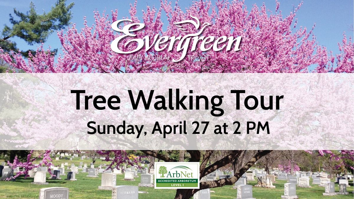 Tree Walking Tour