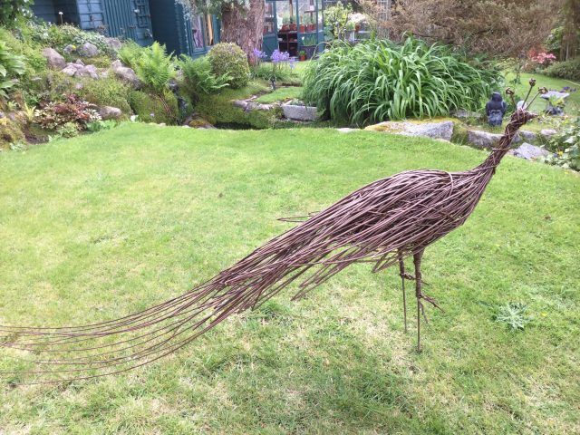 Willow Weaving Peacock (2 day) Workshop