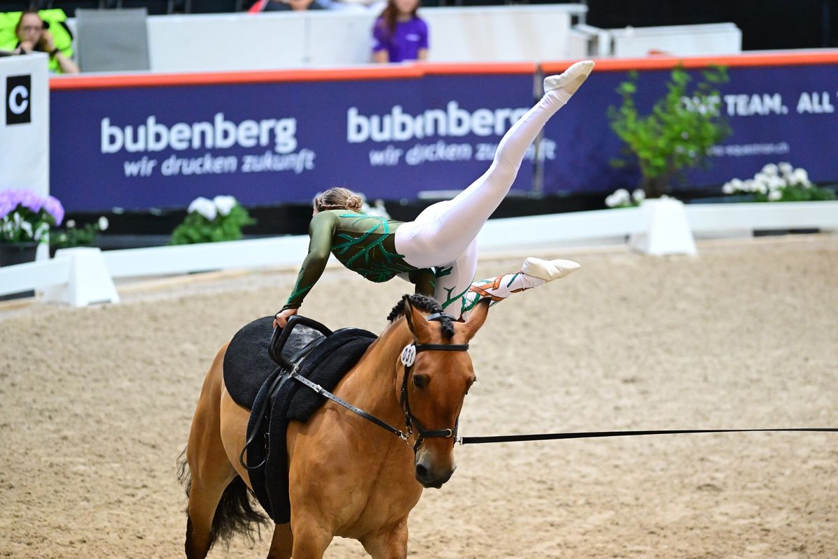 Vaulting coaches training -freestyle\/artistic and lunging