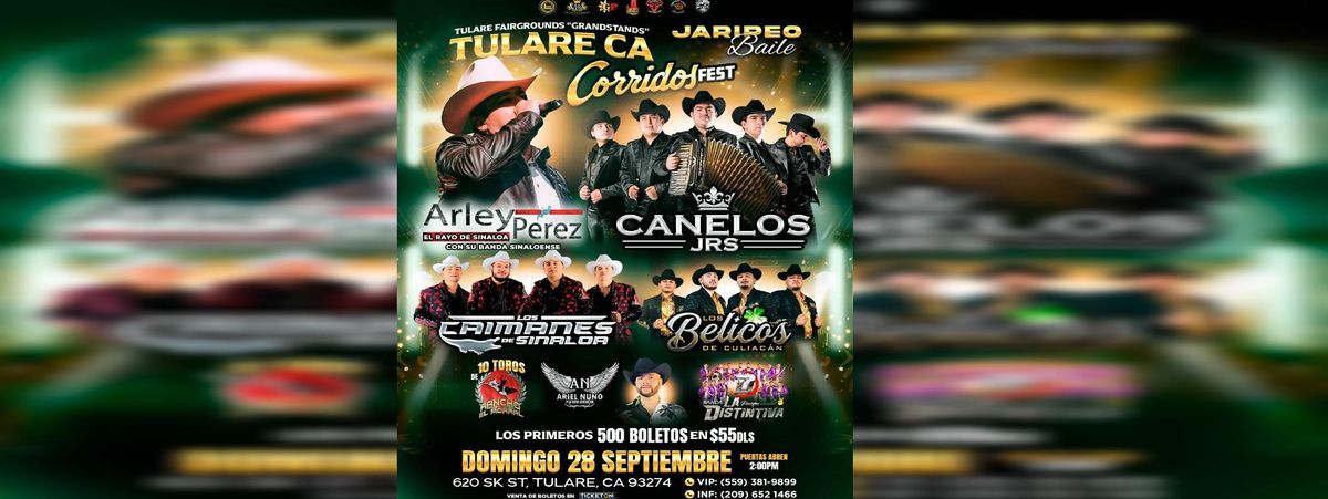 LOS CANELOS JRS, LOS BELICOS DE CUALIACAN & MAS