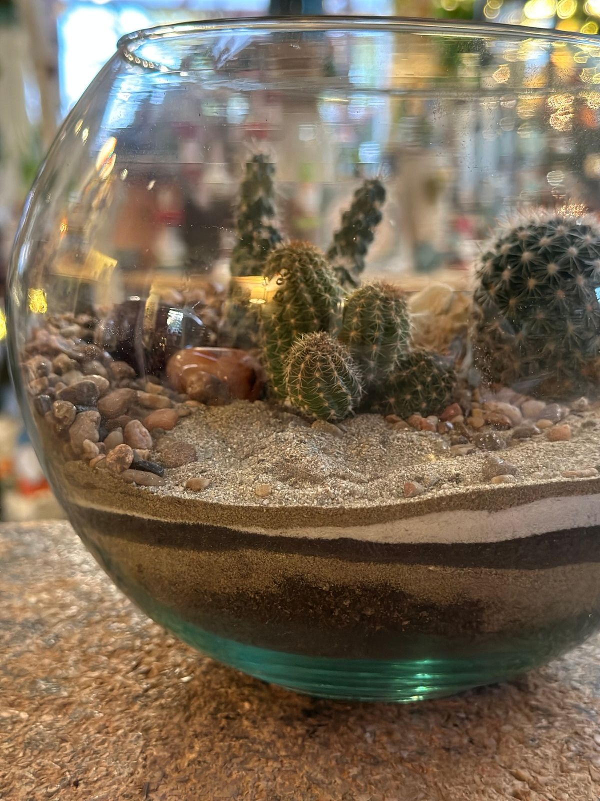 Desert Terrarium 12\/15