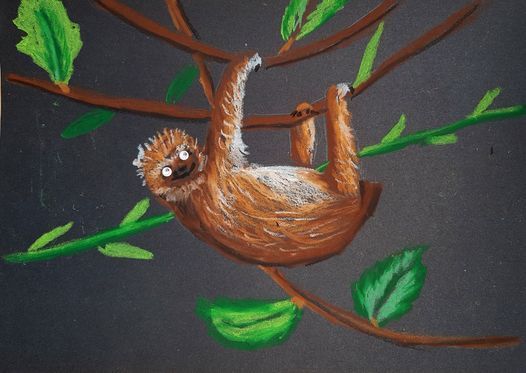Sloth Drawing